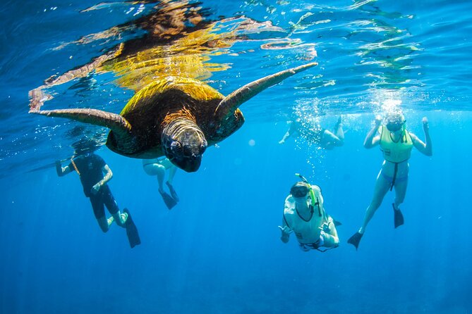 Kauai's Ultimate South Island Zodiac Boat Snorkel Adventure - Stop 1 snorkeling in calm water: reefs, turtles, and fish