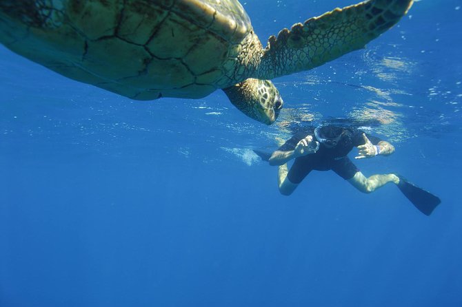 Kauai's Ultimate South Island Zodiac Boat Snorkel Adventure - Between snorkels: snacks, timing, and staying ready