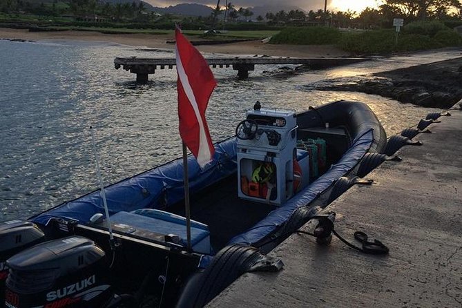 Kauai's Ultimate South Island Zodiac Boat Snorkel Adventure - The crew dynamic: how guidance and safety actually work
