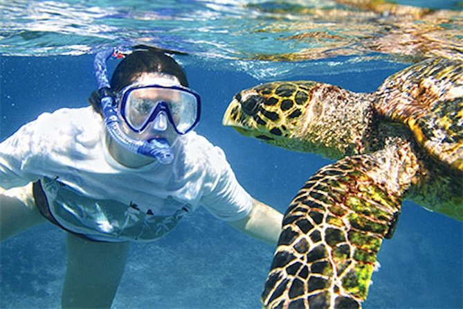 Kauai's Ultimate South Island Zodiac Boat Snorkel Adventure - Where the cruise goes: Spouting Horn and Queen Emma’s coast