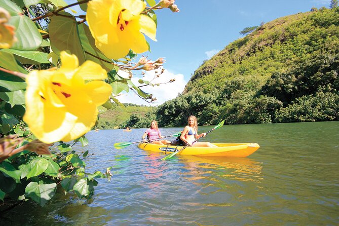 Kauai: Secret Falls Kayak and Hike - Price and Value: Is $125 Worth It on Kauai?