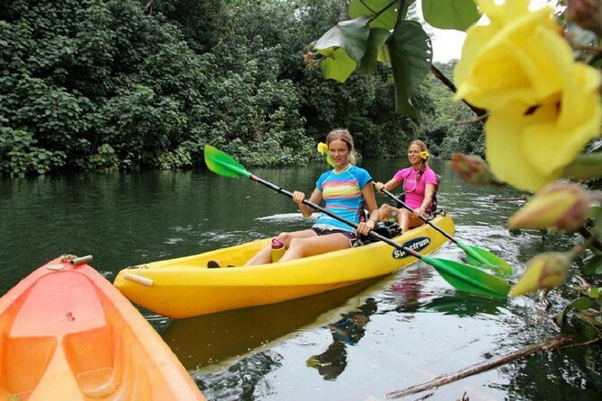 Kauai: Secret Falls Kayak and Hike - Stop at Uluwehi Falls: The Payoff (And the Crowds Factor)