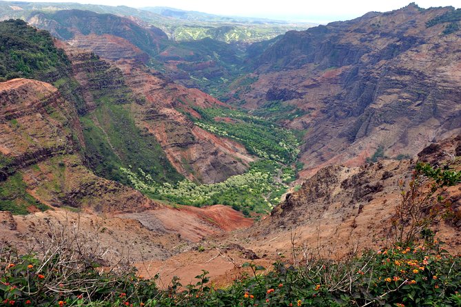 Kauai Waimea Canyon and Koke'e Tour - Waimea Canyon State Park timing, viewpoints, and what to do with your photo time