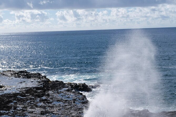 Kauai Waimea Canyon and Koke'e Tour - Koke’e State Park: the easy trail and the lunch trade-off