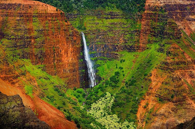 Kauai Waimea Canyon and Koke'e Tour - The Swinging Bridge moment (and what it is really for)