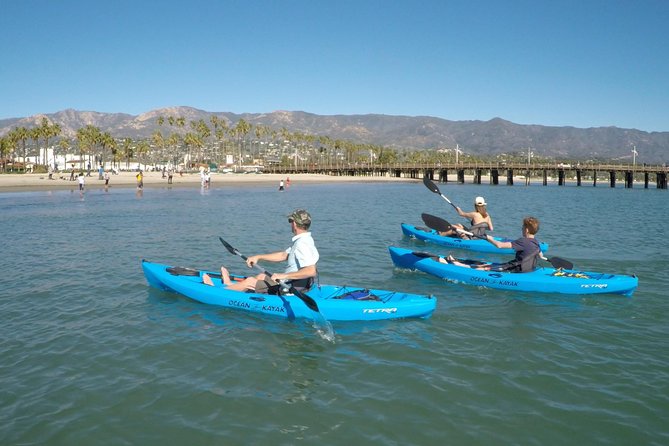 Kayak Tour of Santa Barbara with Experienced Guide - Why kayak the Santa Barbara coast instead of staring from shore
