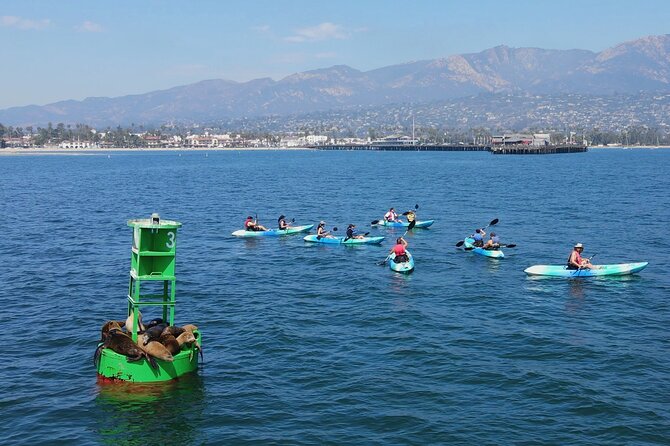 Kayak Tour of Santa Barbara with Experienced Guide - Stearns Wharf and the waterfront, seen from the waterline