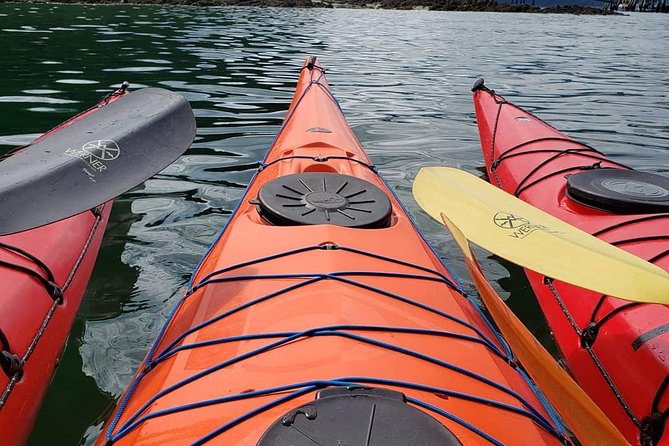 Kayak Tours - Key points before you go