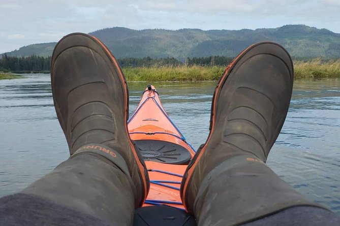 Kayak Tours - Wildlife spotting in Hoonah: what you can hope to see, and how to set expectations