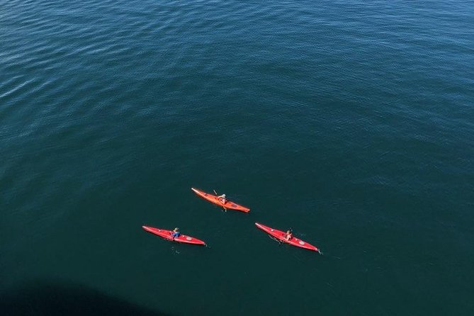Kayak Tours - Equipment, comfort, and first-timer confidence