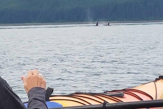 Kayak Tours - Meet the crew: Cody, Michelle, Dave, and the photo-first support