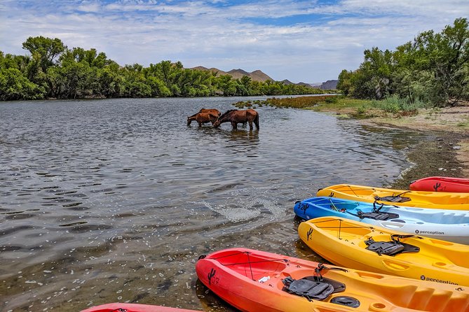 Kayaking the Salt River Foxtail Trip - The swift-water sections: how to stay upright and focused
