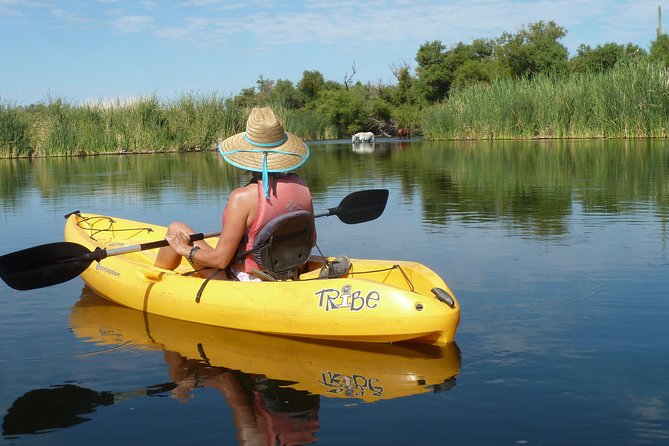 Kayaking the Salt River Foxtail Trip - Saguaro Lake Guest Ranch check-in: the 15 minutes that set you up