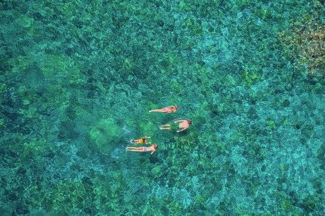 Kealakekua Bay Afternoon Snorkel: Family Fun on the Kona Coast - Water slides and the jump-off platform: why this boat feels like a family hit