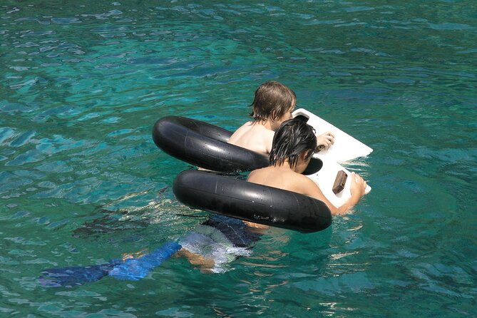 Kealakekua Bay Afternoon Snorkel: Family Fun on the Kona Coast - Price and value: is $143.93 a fair deal for four hours?