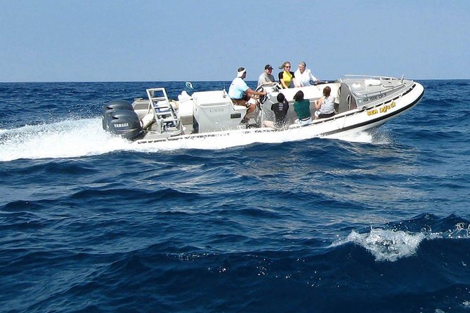 Kealakekua Bay Captain Cook Snorkel Exclusive - Gear and comfort: what’s included, what you must bring