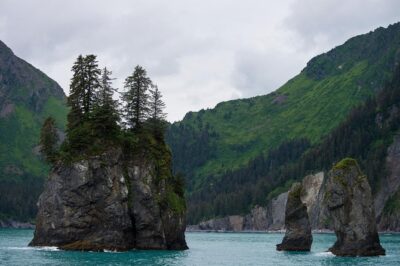 Kenai Fjords and Resurrection Bay Half-Day Wildlife Cruise