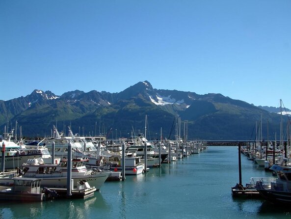 Kenai Fjords and Resurrection Bay Half-Day Wildlife Cruise - Weather and seasickness: how to make the day easier