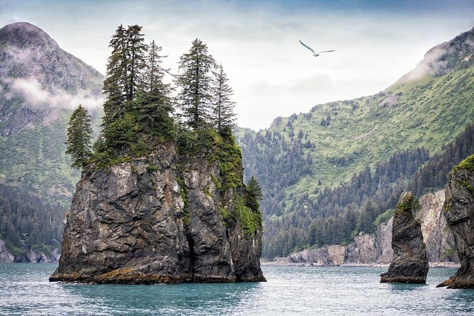 Kenai Fjords National Park Glacier & Wildlife Cruise - Wildlife along the way: what you can watch for, and how to spot it