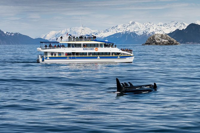 Kenai Fjords National Park Glacier & Wildlife Cruise - Onboard narration, crew energy, and what Capt. Lara adds