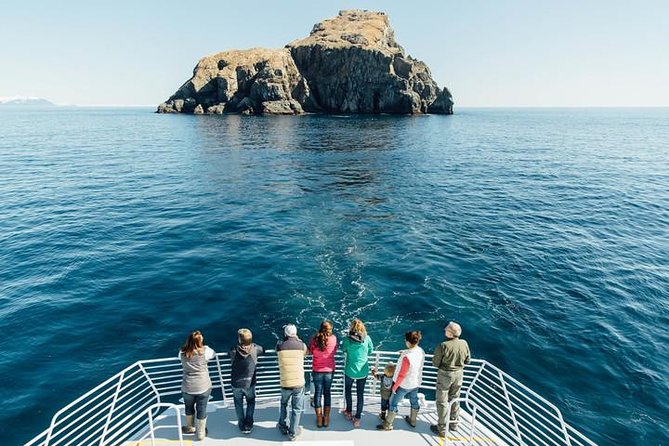 Kenai Fjords National Park Glacier & Wildlife Tour from Seward - A Kenai Fjords Day on the Water From Seward