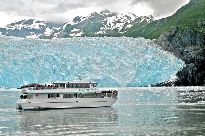 Kenai Fjords National Park Glacier & Wildlife Tour from Seward - Aialik or Holgate Tidewater Glaciers, Calving Moments, and Seals