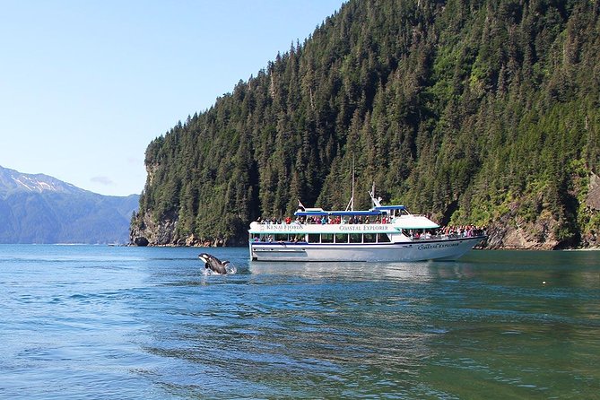 Kenai Fjords National Park Glacier & Wildlife Tour from Seward - Timing, Lunch, and What to Pack for a 6-Hour Cruise