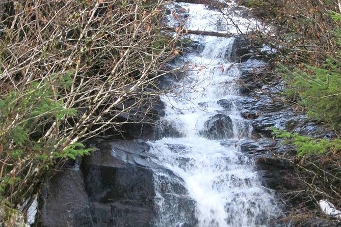 Ketchikan All In One - Rotary Beach: tidepools, “fools gold,” and sea life spotting
