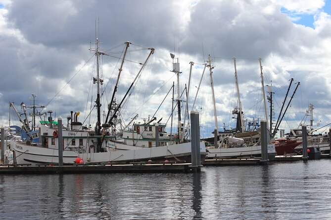 Ketchikan Duck Tour - Wildlife spotting is a real bonus, but do not count on a guarantee