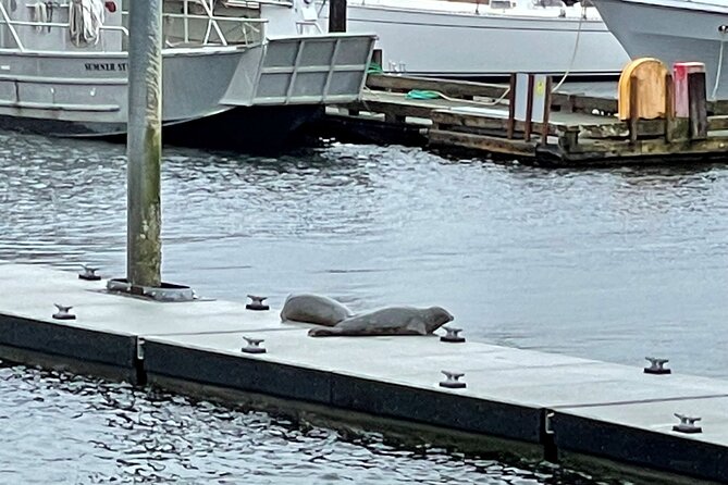 Ketchikan Duck Tour - Timing, group size, and what to expect on board