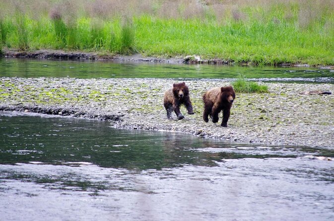 Ketchikan Kayak Eco-Tour - Key things to notice before you go