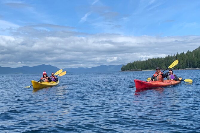 Ketchikan Kayak Eco-Tour - Eagles, islands, and how guides adjust to whales and sea lions