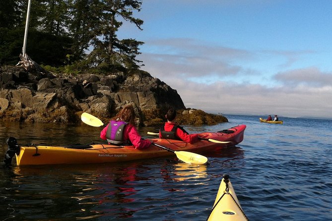 Ketchikan Kayak Eco-Tour - Wildlife spotting odds: what you can expect to see
