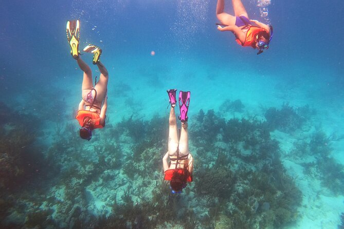 Key Largo Two Reef Snorkel Tour - All Snorkel Equipment Included! - Two reefs, one Key Largo Marine Sanctuary day