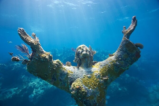 Key Largo Two Reef Snorkel Tour - All Snorkel Equipment Included! - Stop 2 in the Florida Keys National Marine Sanctuary: your wildlife buffet