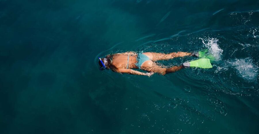 Key West: 3-Hour Afternoon Reef Snorkel with Drinks - Key reasons this reef snorkel in Key West gets strong reviews