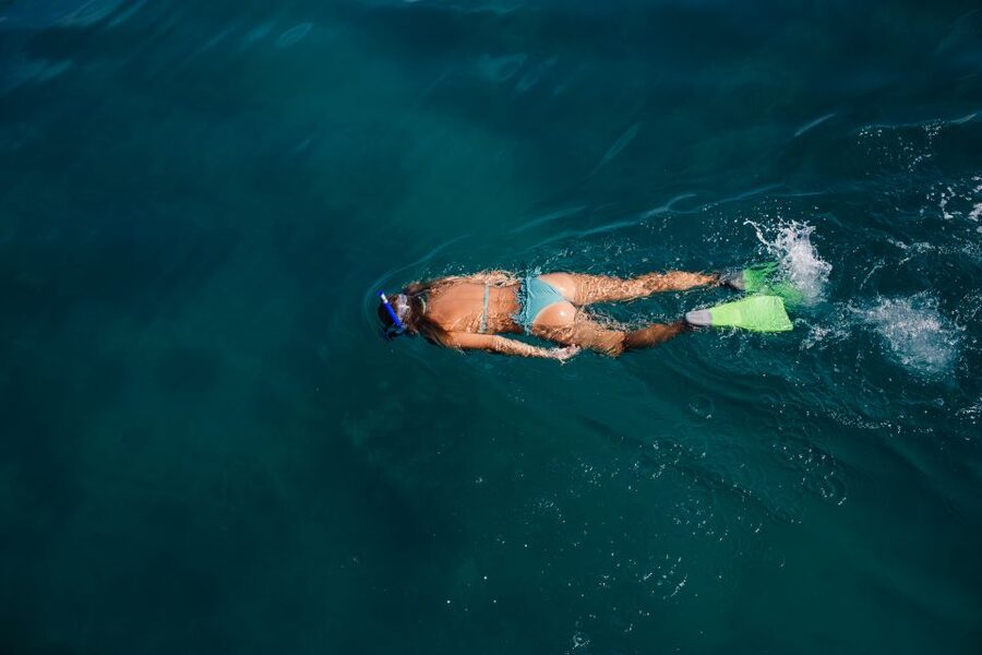 Key West: 3-Hour Afternoon Reef Snorkel with Drinks - Setting out from 201 William Street: start simple, then go see the reef