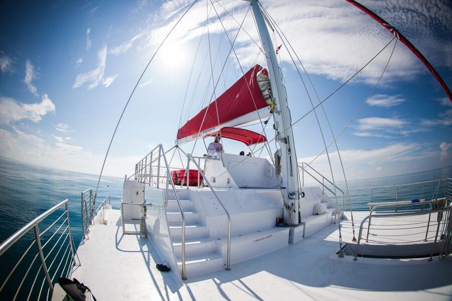 Key West: 3-Hour Afternoon Reef Snorkel with Drinks - Snorkeling the Florida Keys National Marine Sanctuary: gear, safety, and fish spotting