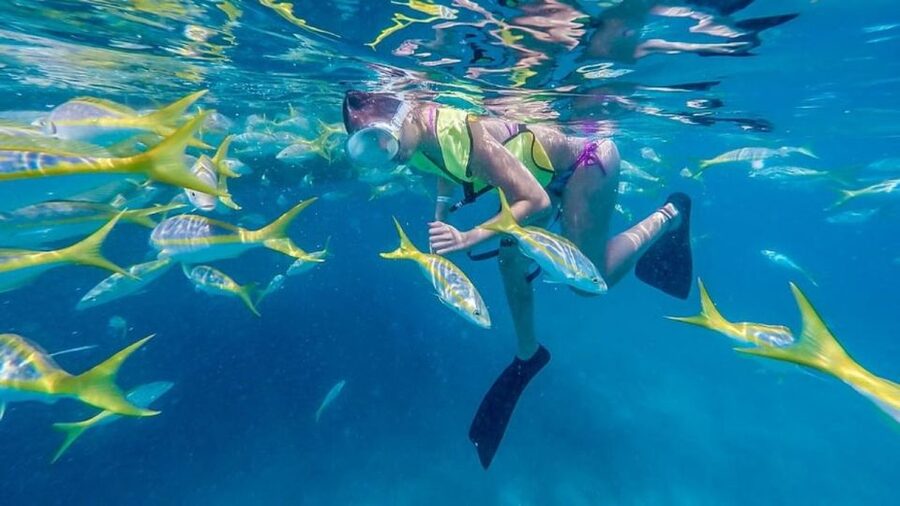 Key West: Afternoon Reef Snorkel Tour with Open Bar - Captain-selected snorkeling spots and why wind matters