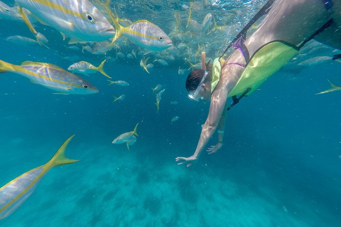 Key West Afternoon Snorkel Sail with Unlimited Cocktails! - Why This Key West Snorkel Sail Works for a Half Day