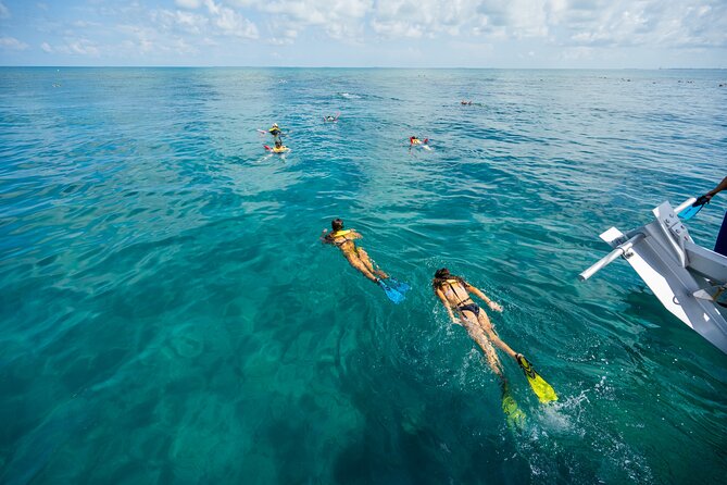 Key West Afternoon Snorkel Sail with Unlimited Cocktails! - The Ride Out to the Florida Reef, and What You Might See