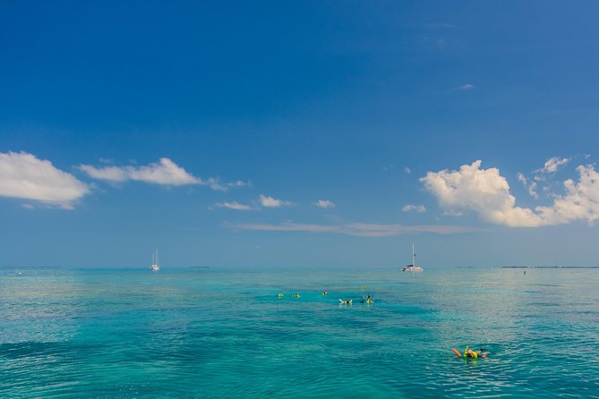 Key West Afternoon Snorkel Sail with Unlimited Cocktails! - Snorkeling at the Florida Reef, Where the Fish Live