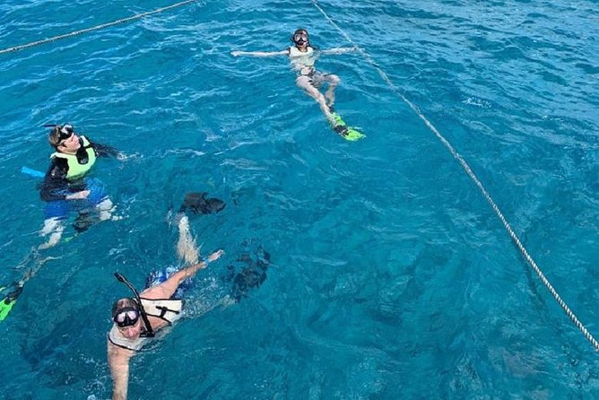 Key West Afternoon Snorkel Sail with Unlimited Cocktails! - Drinks, Rum Punch, and the Timing You Need to Know