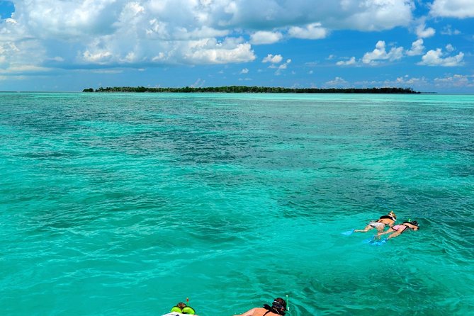 Key West Dolphin Watch and Snorkel Tour - Eco Adventure - The National Wildlife Refuge Snorkel: Shallow Water, Real Backcountry Life