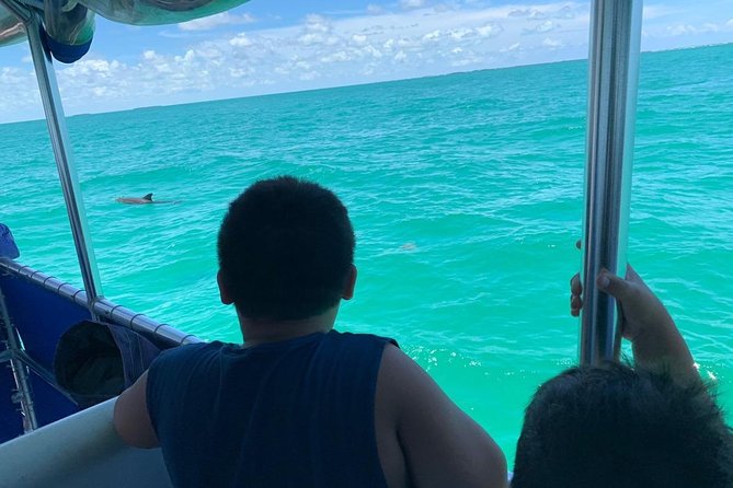 Key West Dolphin Watch and Snorkel Tour - Eco Adventure - Getting On the Water: Meeting Point and Timing That Prevents Stress