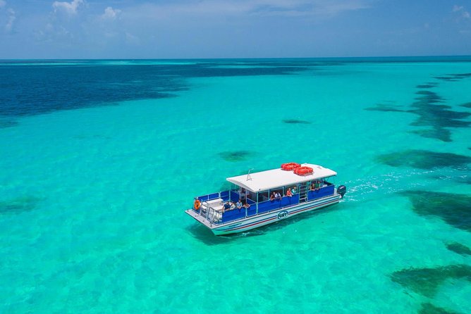 Key West Dolphin Watch and Snorkel Tour - Eco Adventure - The Crew Makes the Day: The Names You Might Hear On Deck