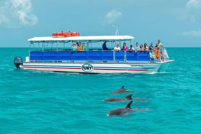 Key West Dolphin Watch and Snorkel Tour - Eco Adventure - Boat Comfort, Drinks, and the Stuff You Actually Need