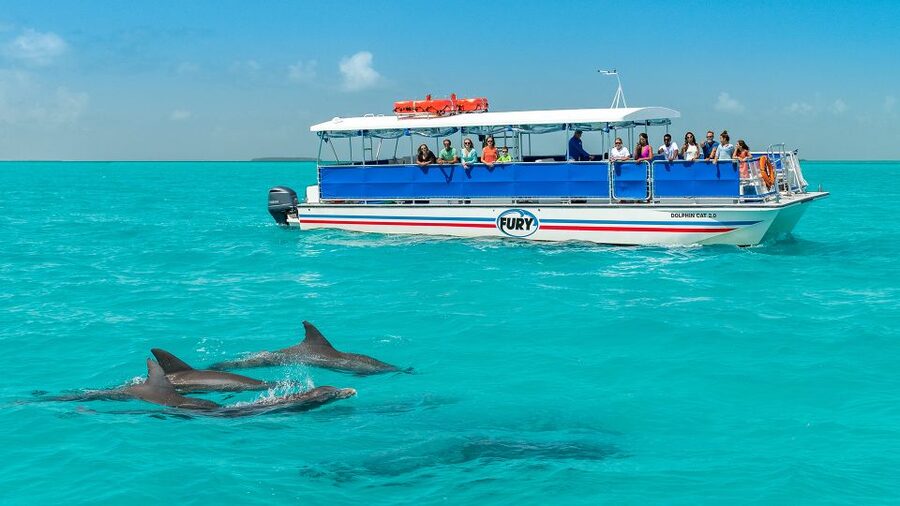 Key West: Dolphin Watching and Snorkeling Eco Cruise Tour - Key West Dolphin Watching and Snorkeling Highlights