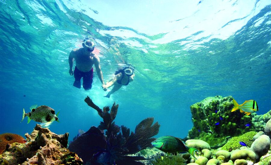 Key West: Dolphin Watching and Snorkeling Eco Cruise Tour - Setting Out From Key West on a Fast, Comfortable Catamaran