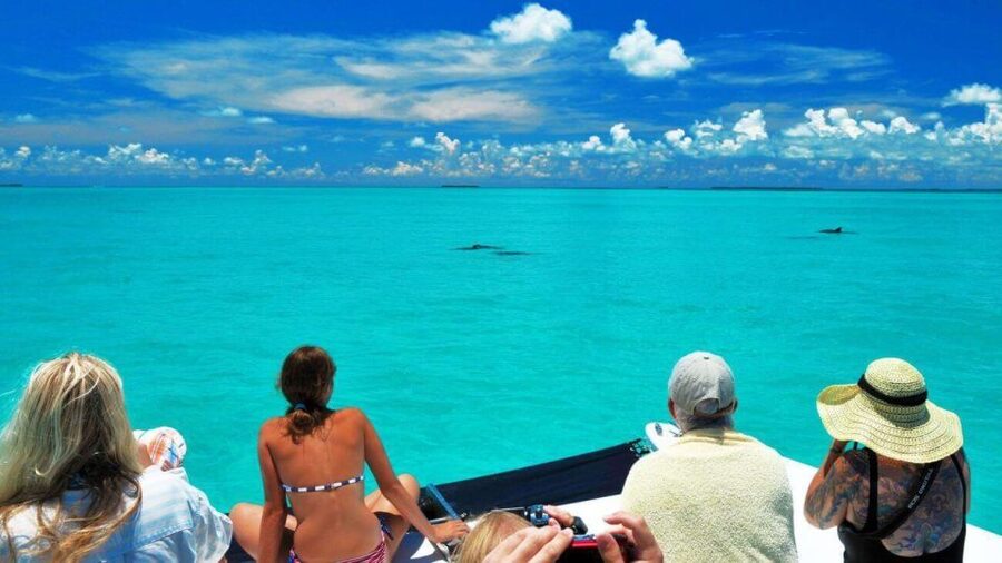 Key West: Dolphin Watching and Snorkeling Eco Cruise Tour - The Snorkeling Stop in the Florida Keys Backcountry, Gear and Safety First